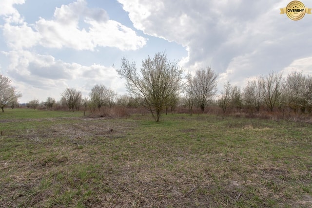 NA PREDAJ pozemok o výmere 400 m2 v Zohore - záhrada