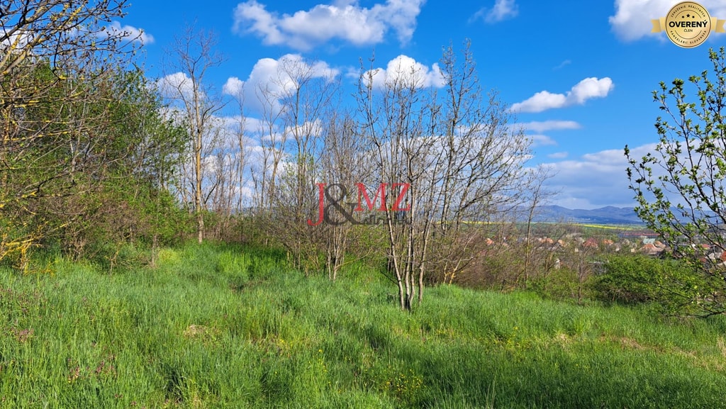 Pozemok 7.000 m2, šírka 55 m, Žemberovce, Cena DOHODOU (SM–867) 4