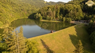 Photo 31
