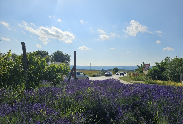 Stavebný pozemok Pezinok 3118m2