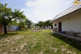 Photo 37