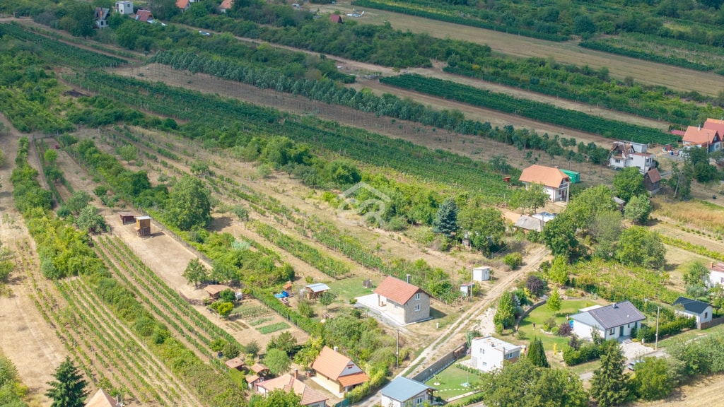 Vinica s ovocným sadom, elektrikou a unimobunkou v Hornom Oháji !!