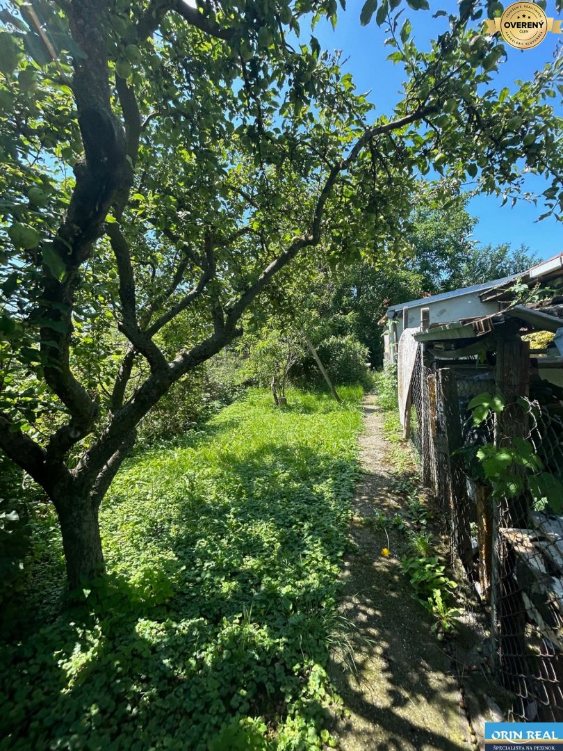 Na predaj starší rodinný dom v obci Budmerice 541m2 3