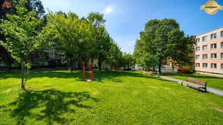 Photo 24