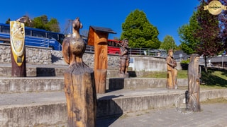 Photo 22