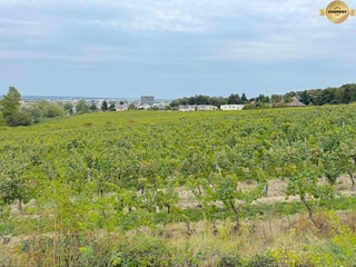 Photo 37