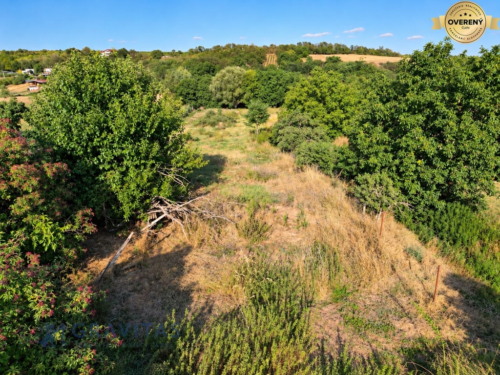 RODINNÝ DOM S ROZĽAHLÝM POZEMKOM 2 951 m² A PRÍSTAVBOU | BAB 5