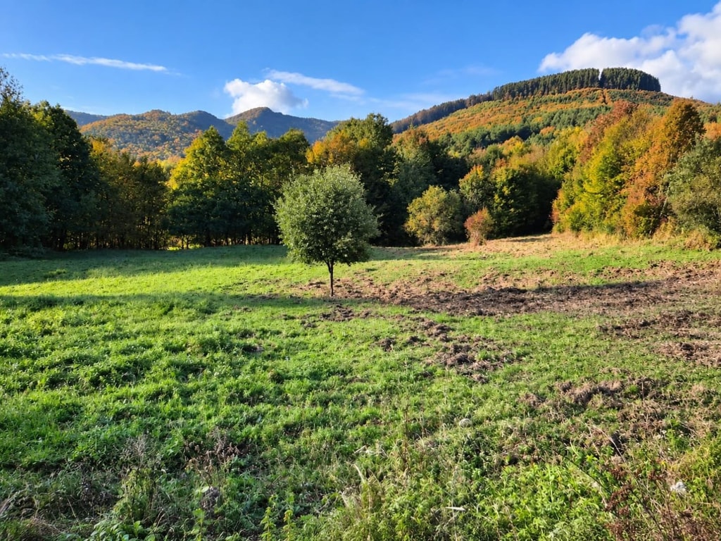 Pozemok 3611m2 v obci Zubák , okres Púchov 3