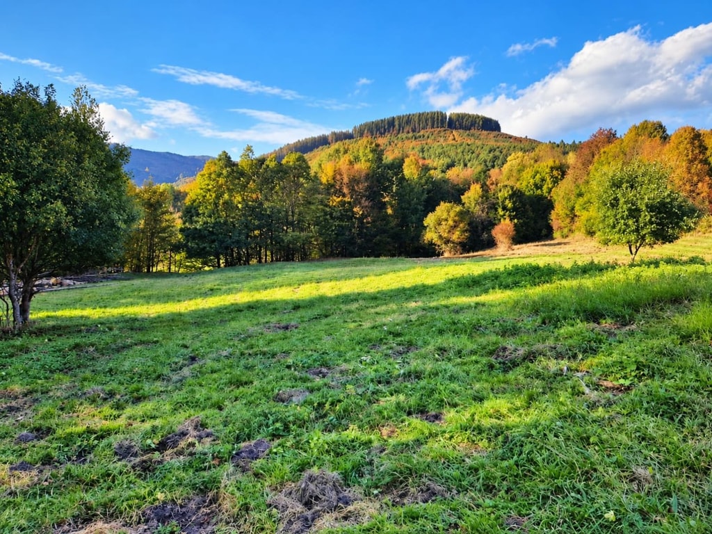 Pozemok 3611m2 v obci Zubák , okres Púchov 2