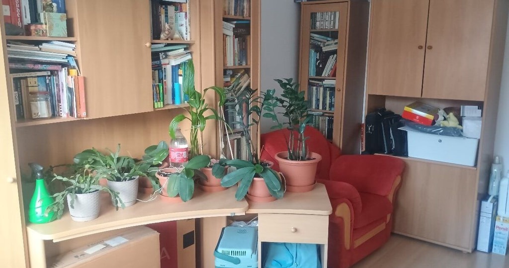 3- izbový byt na  ulici Jedľová 2