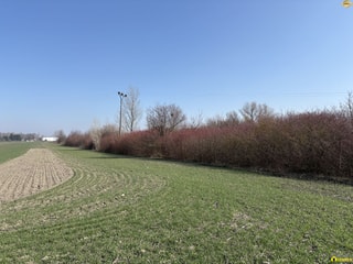 NA PREDAJ pozemok /5 559 m2/ v Komárne časť Malá Iža