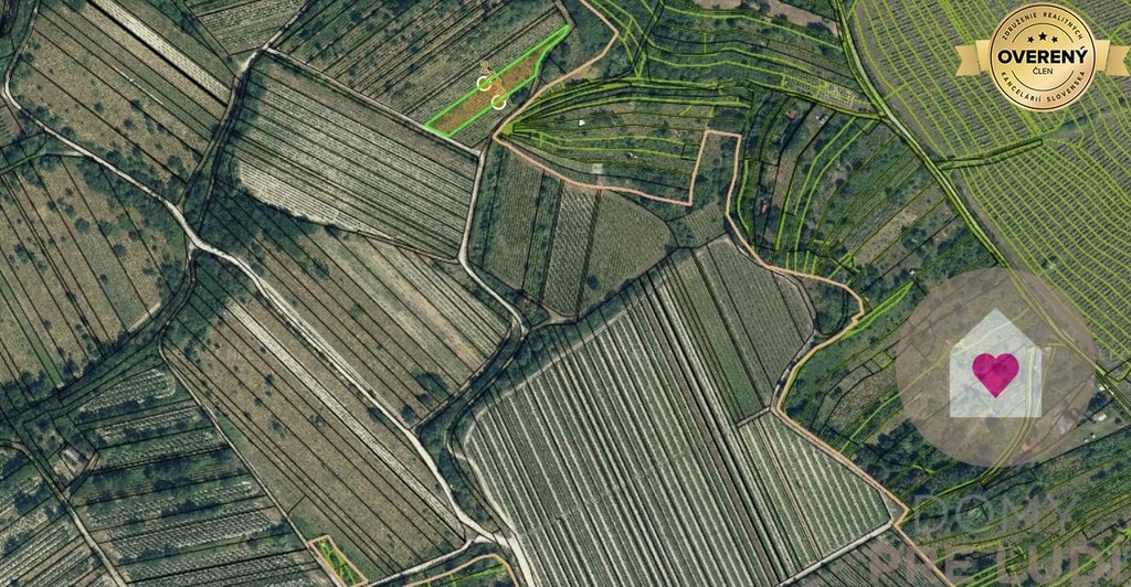 BA/RAČA - Investícia alebo pestovanie vína? Vinohrad na predaj 5