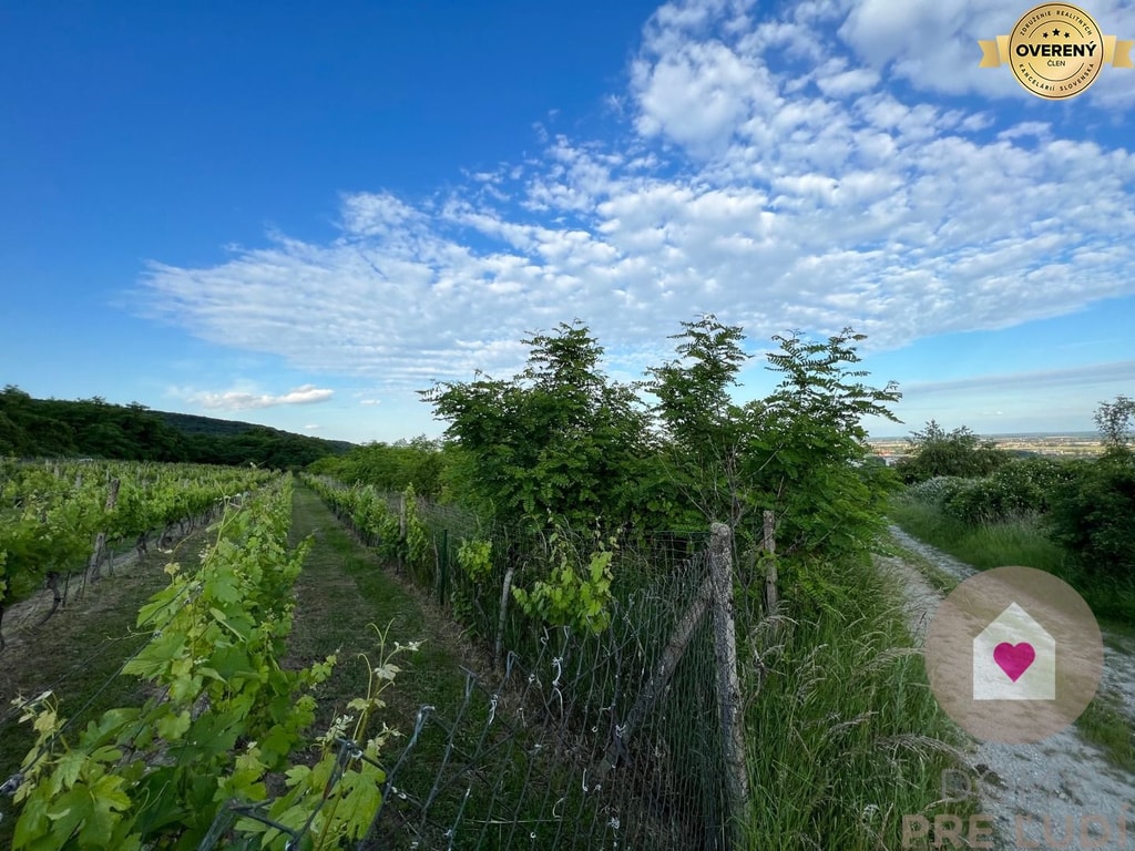 BA/RAČA - Investícia alebo pestovanie vína? Vinohrad na predaj 3