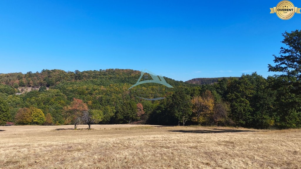 Rozľahlý pozemok (17 041 m²) v malebnej obci Hrušov, okr. V. Krtíš. 2