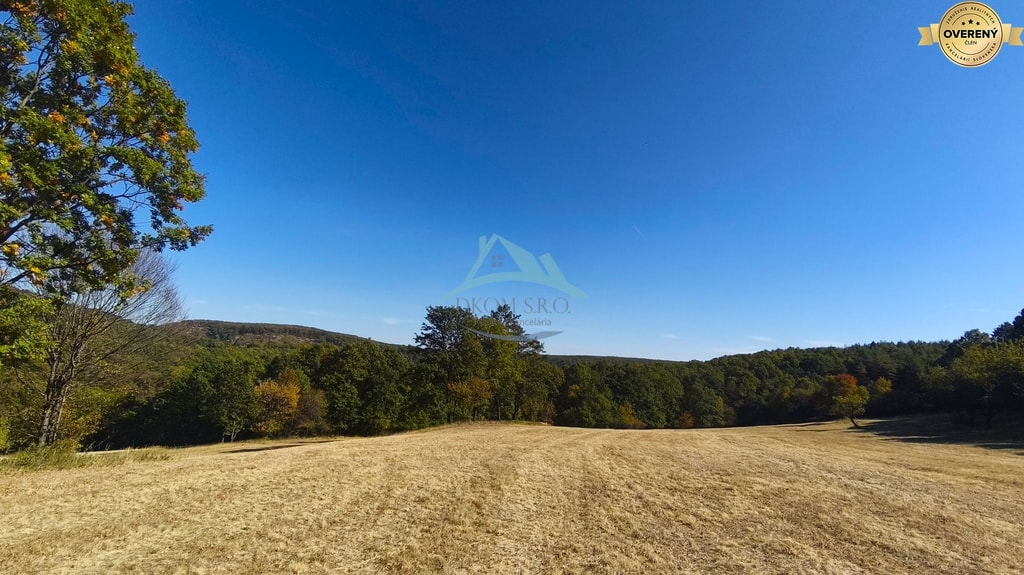 Rozľahlý pozemok (17 041 m²) v malebnej obci Hrušov, okr. V. Krtíš. 3