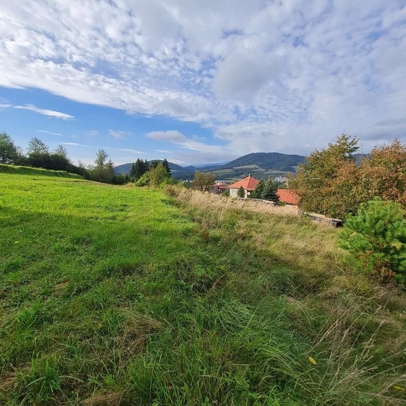 INVESTIČNÝ POZEMOK BREZNO 3344 M2 x 22,- €/M2 = 73.568,- € 3