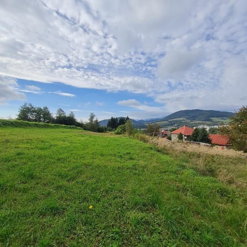 INVESTIČNÝ POZEMOK BREZNO 3344 M2 x 22,- €/M2 = 73.568,- € 4