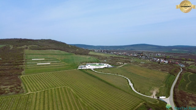 Vinica a lúka v Tokajskej oblasti – Veľká Bara