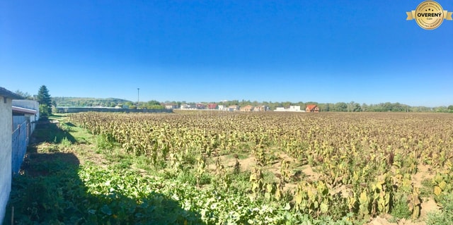 Ponúkame na predaj pozemok 1587 m2 v Moravanoch nad Váhom