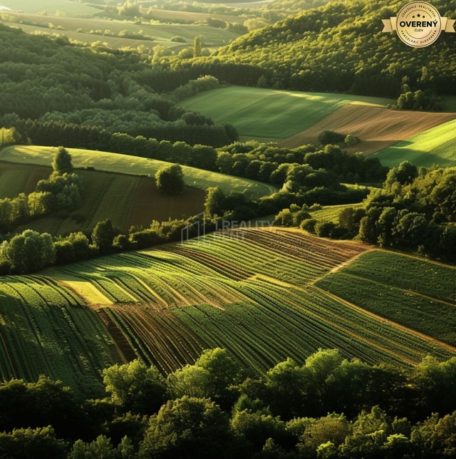 Predaj Urbár lesné pozemky v podieloch 30 665 m2 kataster obce Turany