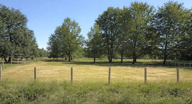 PREDAJ - Rekreačný pozemok v prírode v Stupave - Malý háj
