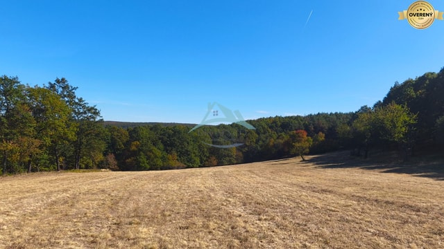 Rozľahlý pozemok (17 041 m²) v malebnej obci Hrušov, okr. V. Krtíš.